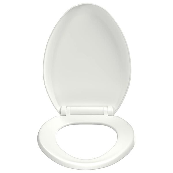Se afișează imaginea 3 din 12