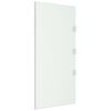 vidaXL Panouri laterale pentru copertine ușă 2 buc. transparent sticlă