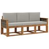 vidaXL Set de canapele de exterior 3 pcs Natural și gri deschis