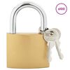 vidaXL U Lock cu Chei 100 pcs Alamă Fier