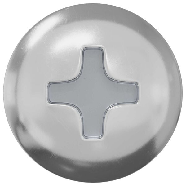 vidaXL Șurub 2 pcs Argintiu 9,8 x 35 mm Fier