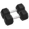 vidaXL Gantere, 2 buc., 12,5 kg, total fontă