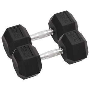 vidaXL Gantere, 2 buc., 25 kg, total fontă