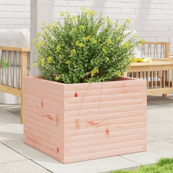 Se afișează imaginea 2 din 10