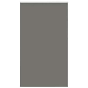 vidaXL Jaluzea cu role opace gri 120x210 cm Lățime material 116,6 cm