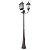 vidaXL Lumina de grădină 61 x 53 x 235 cm Aluminiu și sticlă