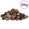 vidaXL Pietricele lustruite, 25 kg, culori mixte, 2-5 cm