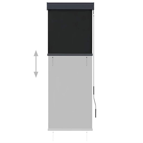 vidaXL Jaluzea tip rulou de exterior, antracit, 60 x 250 cm