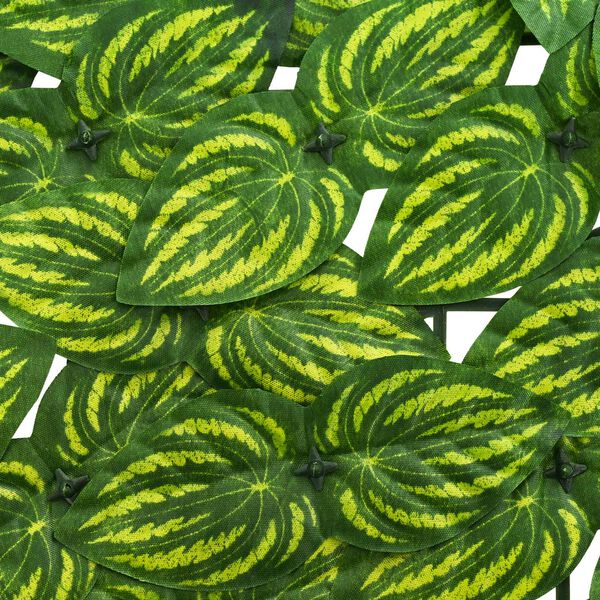 Se afișează imaginea 4 din 6