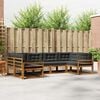 vidaXL Set de canapele de exterior cu pernă 6 pcs Natural și Antracit