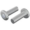 vidaXL Șurub 2 pcs Argintiu 8 x 25 mm Oțel