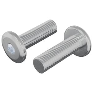 vidaXL Șurub 2 pcs Argintiu 8 x 25 mm Oțel