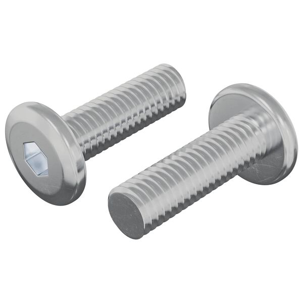 vidaXL Șurub 2 pcs Argintiu 8 x 25 mm Oțel