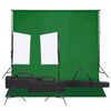 vidaXL Kit studio foto cu set de lumină și fundal