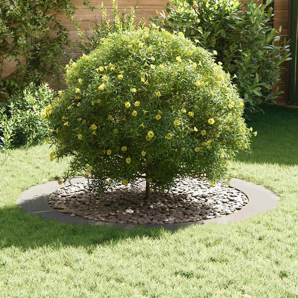 vidaXL potrivit pentru inele de copac plat 5 pcs Argintiu &Oslash;90 / 120 cm