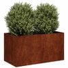 vidaXL Jardinieră Rusty 80x40x40 cm Oțel pentru intemperii