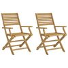 vidaXL Scaune pliante 2 buc 54,5x61,5x86,5 cm Lemn masiv de salc&acirc;m