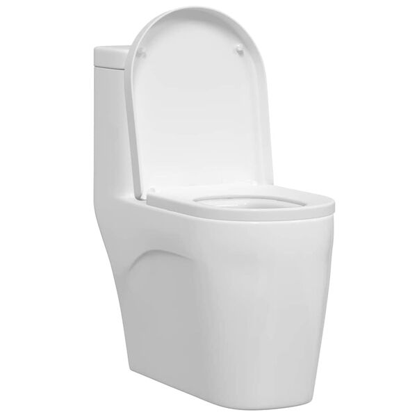 Se afișează imaginea 3 din 12