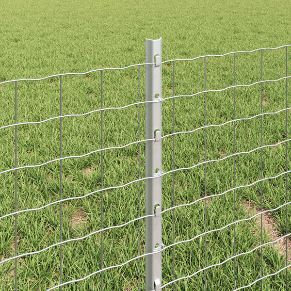 Se afișează imaginea 4 din 7