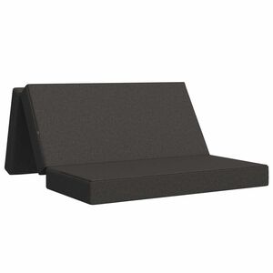 vidaXL Canapea Pat Pliabilă 160 x 67 x 45 cm Gri &icirc;nchis