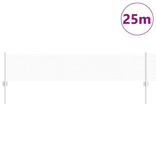 Se afișează imaginea 3 din 13