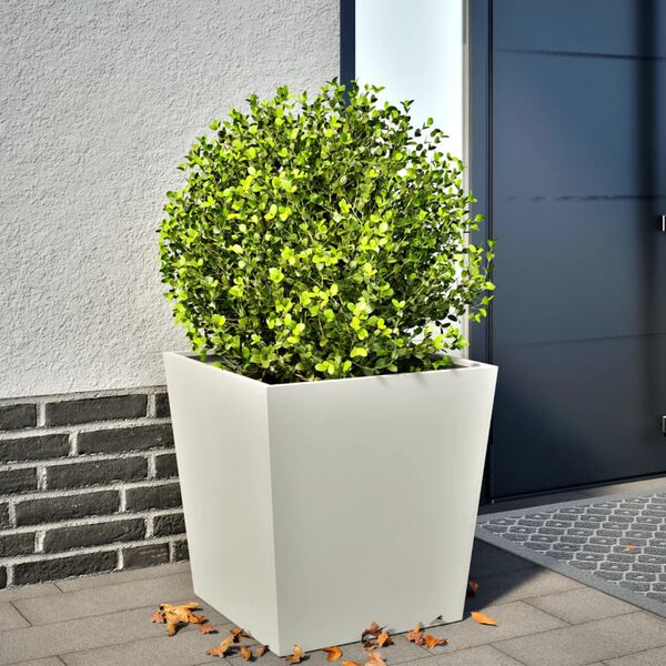 Se afișează imaginea 2 din 10