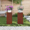 vidaXL Suport pentru plante 2 pcs Ruginit 24 x 24 x 55 cm