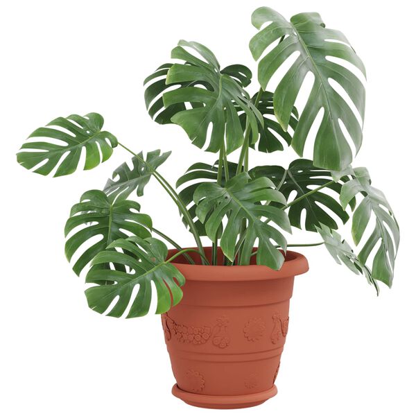 vidaXL Ghivece pentru plante 24 pcs Roșu cărămidă &Oslash; 26 x 21.5 cm
