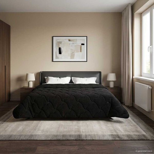 Se afișează imaginea 2 din 10