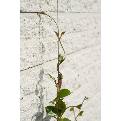 Nature Set cabluri spalier pentru plante cățărătoare, 2 buc.