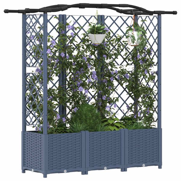 Se afișează imaginea 3 din 8