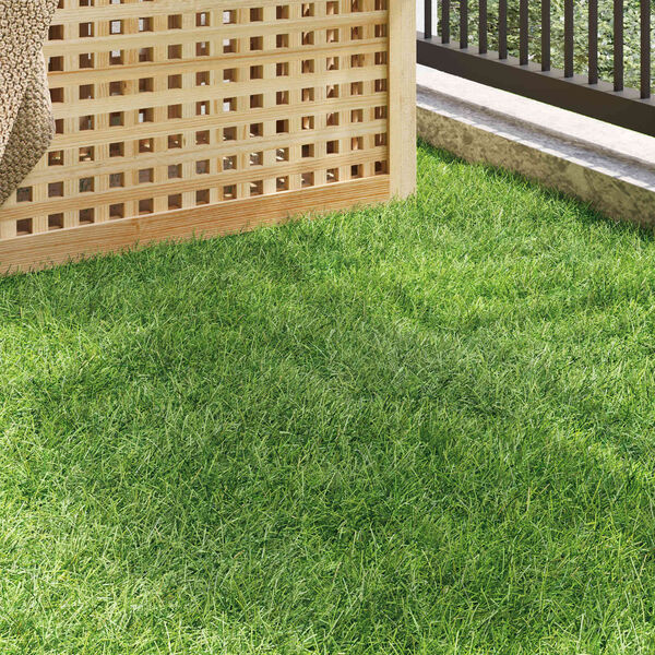 Se afișează imaginea 3 din 10