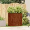 vidaXL Jardinieră Rusty 80x40x80 cm Oțel pentru intemperii