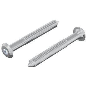 vidaXL Șurub 2 pcs Argintiu M6 x 50 mm Oțel