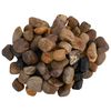 vidaXL Pietricele lustruite, 25 kg, culori mixte, 2-5 cm