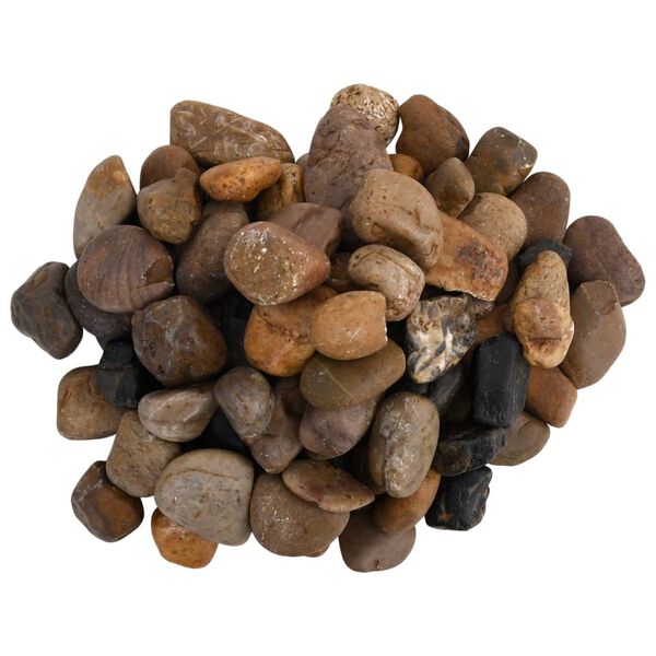 vidaXL Pietricele lustruite, 25 kg, culori mixte, 2-5 cm