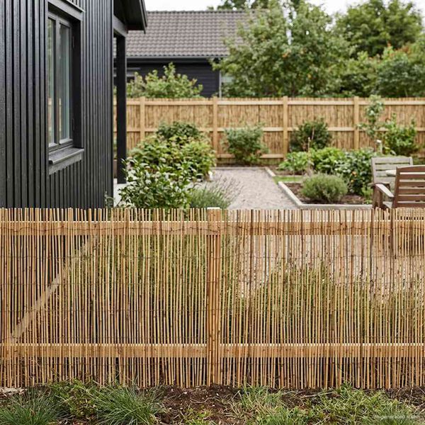 Se afișează imaginea 3 din 7