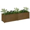 vidaXL Jardinieră de grădină maro miere 200x50x50 cm lemn masiv pin