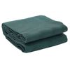 vidaXL Covoare pentru Cort Verde 300 x 200 cm Poliester
