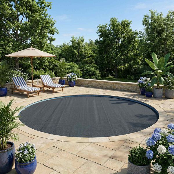 Se afișează imaginea 2 din 7