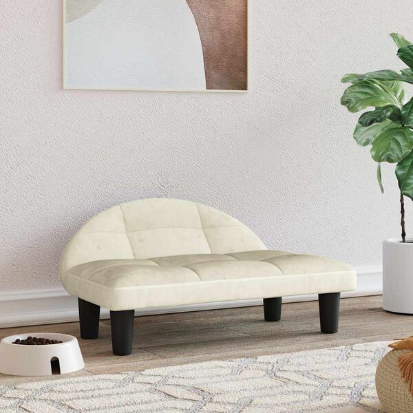 Se afișează imaginea 2 din 7