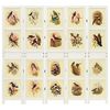 vidaXL Panou Romdivider Alb 176,5 x 165 cm MDF