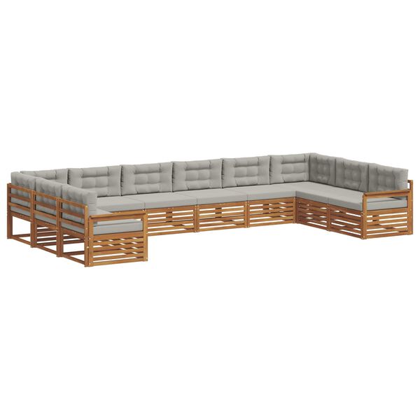 Se afișează imaginea 1 din 10