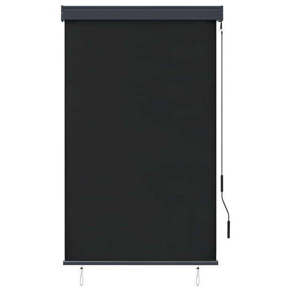 vidaXL Jaluzea tip rulou de exterior, antracit, 100 x 250 cm