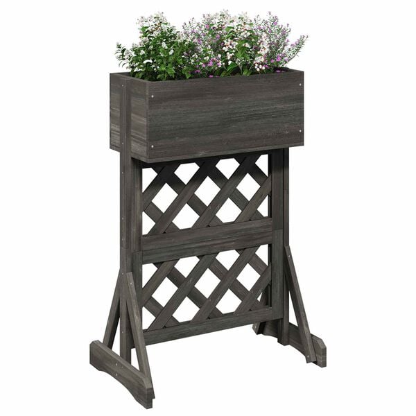 Se afișează imaginea 3 din 10