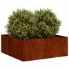 vidaXL Jardinieră Rusty 80x80x30 cm Oțel pentru intemperii
