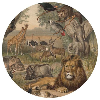WallArt Tapet în formă de cerc „Animals of Africa”, 190 cm
