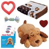 Snuggle Puppy Kit pentru cățeluși Comfortable Beginnings