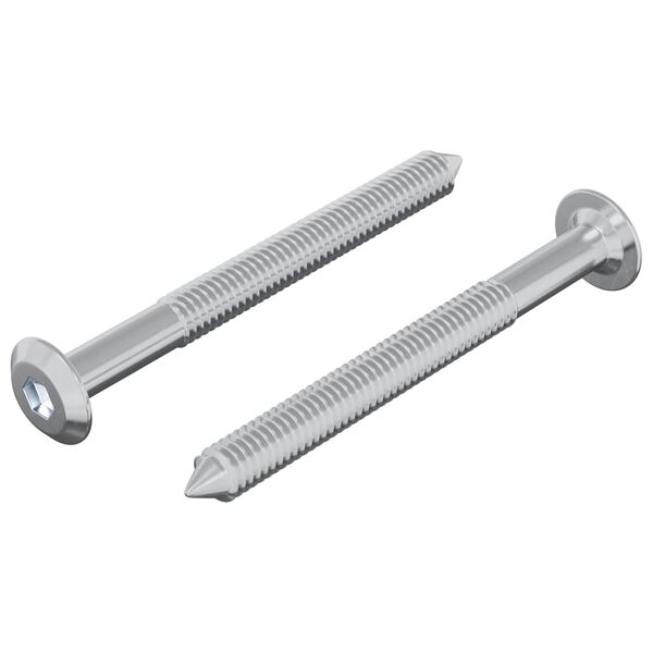 vidaXL Șurub 2 pcs Argintiu M6 x 60 mm Oțel