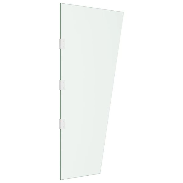 vidaXL Panou lateral copertină ușă transparent 50x100 cm sticlă